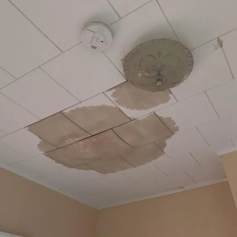 Ceiling Water Damage Repair in Maringouin, LA