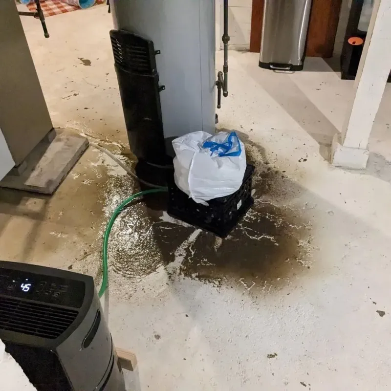 Sewage Backup Cleanup Service in Maringouin, LA